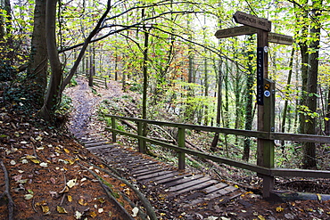 Footpath sign at Milners Fork in Nidd Gorge Woods near Bilton, Harrogate, North Yorkshire, Yorkshire, England, United Kingdom, Europe 