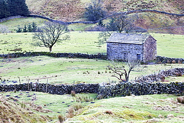 Field barn and dry stone walls in Garsdale, Yorkshire Dales, Cumbria, England, United Kingdom, Europe