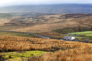 Isolated house by the road in Garsdale below Baugh Fell, Yorkshire Dales, Cumbria, England, United Kingdom, Europe