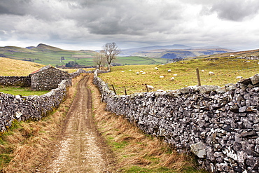 The Pennine Bridle Way near Stainforth in Ribblesdale, Yorkshire Dales, Yorkshire, England, United Kingdom, Europe