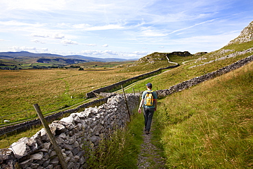 Walker on a Public Footpath near Langcliffe in Ribblesdale, Yorkshire, England, United Kingdom, Europe