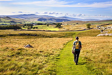 Walker on a Public Footpath approaching Winskill Stones, Yorkshire, England, United Kingdom, Europe