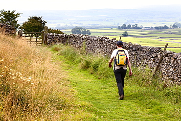 Walker on a Public Footpath in Crummack Dale, Yorkshire, England, United Kingdom, Europe