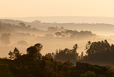 Misty landscape, near Obidos, Estremadura, Portugal, Europe