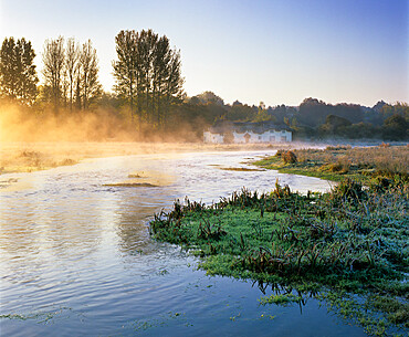 Misty River Test on Chilbolton Common, Wherwell, Hampshire, England, United Kingdom, Europe