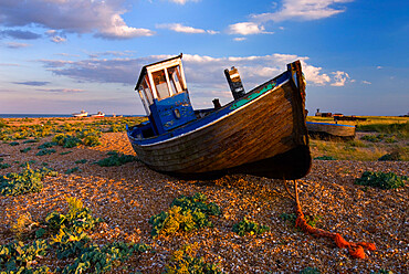 Wrecked fishing boat on shingle beach, Dungeness, Kent, England, United Kingdom, Europe