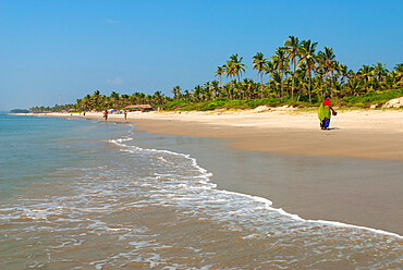 View along beach, Benaulim, Goa, India, Asia