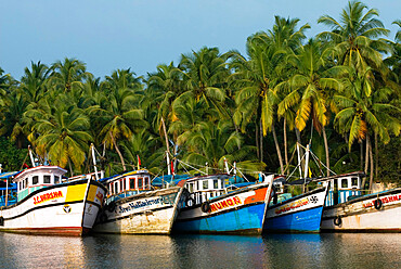 Fishing boats along the Backwaters, near Alappuzha (Alleppey), Kerala, India, Asia