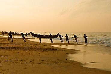 Fishermen hauling in nets at sunrise, Chowara Beach, near Kovalam, Kerala, India, Asia