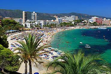 Magaluf, Mallorca (Majorca), Balearic Islands, Spain, Mediterranean, Europe