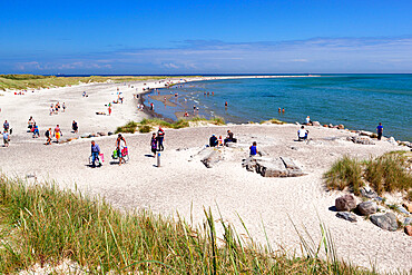 Grenen, Skagen, Jutland, Denmark, Scandinavia, Europe