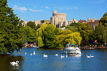 Windsor Castle and River Thames, Windsor, Berkshire, England, United Kingdom, Europe