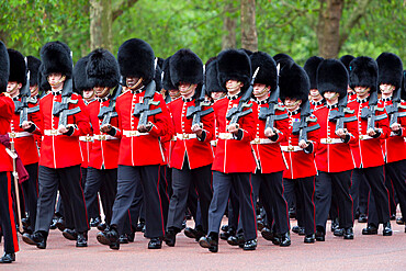 Irish Guards marching along The Mall, London, England, United Kingdom, Europe
