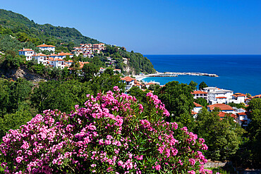 View over resort, Agios Ioannis, Pelion Peninsula, Thessaly, Greece, Europe