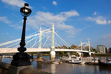 Albert Bridge on the River Thames, Chelsea, London, England, United Kingdom, Europe