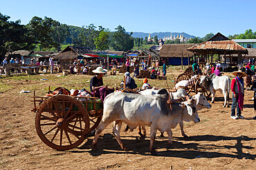 Thaung Tho tribal market at southern end of lake, Inle Lake, Shan State, Myanmar (Burma), Asia