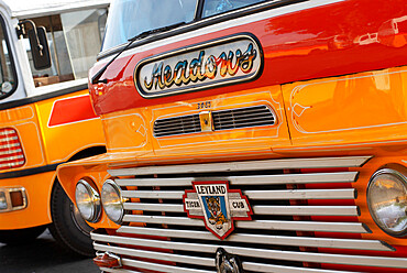 Old yellow buses, Malta, Mediterranean, Europe