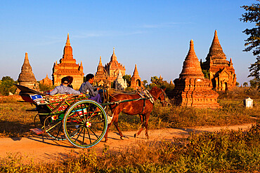 Wooden horse cart taking tourists around Bagan temples, Bagan (Pagan), Central Myanmar, Myanmar (Burma), Asia