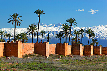 The old city walls and snow capped Atlas Mountains, Marrakech, Morocco, North Africa, Africa