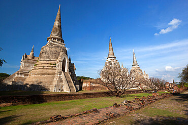 Ruins of Wat Phra Sri Sanphet, Ayutthaya, UNESCO World Heritage Site, Ayutthaya Province, Thailand, Southeast Asia, Asia