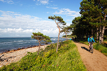 Hornbaek beach, Hornbaek, Zealand, Denmark, Europe