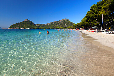 Platja Formentor, near Port de Pollenca (Puerto Pollensa), Mallorca (Majorca), Balearic Islands, Spain, Mediterranean, Europe