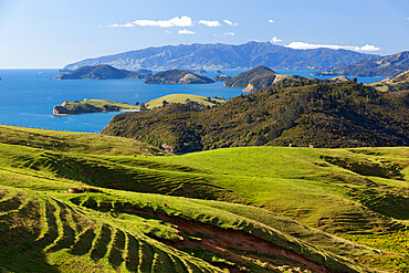 Coastline looking north towards Coromandel and Hauraki Gulf, Coromandel Peninsula, Waikato, North Island, New Zealand, Pacific