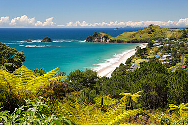 Hahei beach, Hahei, Coromandel Peninsula, Waikato, North Island, New Zealand, Pacific