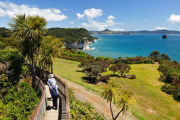 View along Cathedral Cove Recreational Reserve, Hahei, Coromandel Peninsula, Waikato, North Island, New Zealand, Pacific