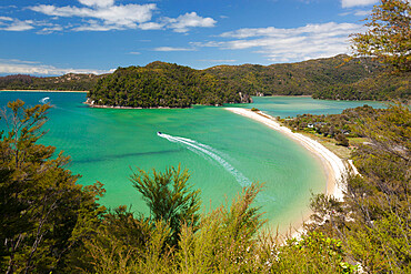 Torrent Bay, Abel Tasman National Park, Nelson region, South Island, New Zealand, Pacific