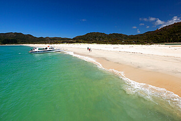 Awaroa beach, Abel Tasman National Park, Nelson region, South Island, New Zealand, Pacific