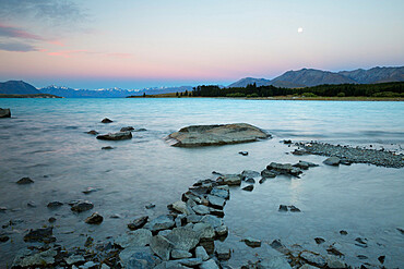 Edge of lake at dusk, Lake Tekapo, Canterbury region, South Island, New Zealand, Pacific