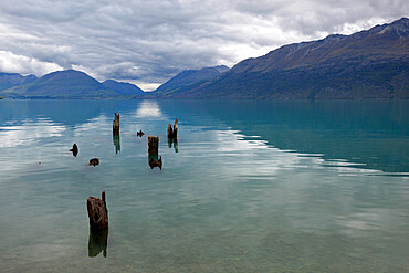 Old pier posts on Lake Wakatipu, Glenorchy, Otago, South Island, New Zealand, Pacific