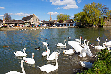 The Riverside Pub on the River Thames, Lechlade, Cotswolds, Gloucestershire, England, United Kingdom, Europe