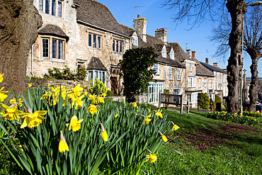 Cotswold cottages along The Hill with spring daffodils, Burford, Cotswolds, Oxfordshire, England, United Kingdom, Europe