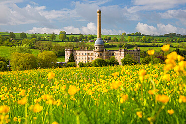 Bliss Mill with buttercups, Chipping Norton, Cotswolds, Oxfordshire, England, United Kingdom, Europe
