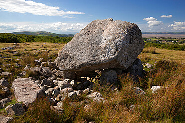 Arthur's Stone (Maen Ceti, Maen Cetty) a Neolithic chambered dolmen, Gower Peninsula, Swansea, Glamorgan, Wales, United Kingdom, Europe