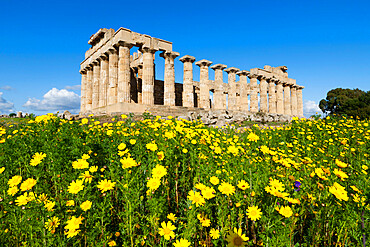 Selinus Greek Temple in spring, Selinunte, Sicily, Italy, Europe