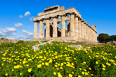 Selinus Greek Temple in spring, Selinunte, Sicily, Italy, Europe