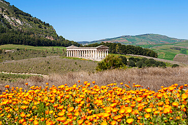 View over the Greek Doric Temple, Segesta, Sicily, Italy, Europe