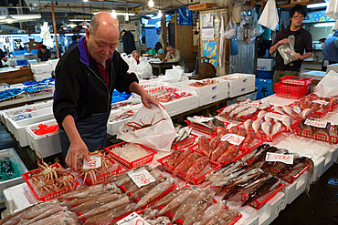 Tsukiji fish market, Chuo, Tokyo, Japan, Asia