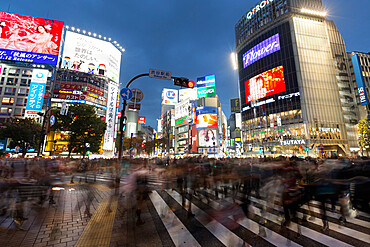 Neon signs and pedestrian crossing (The Scramble) at night, Shibuya Station, Shibuya, Tokyo, Japan, Asia