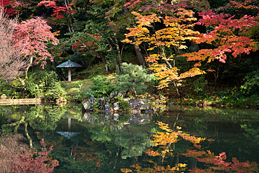 Autumn colours reflected in Hisagoike pond, Kenrokuen Garden, Kanazawa, Ishikawa Prefecture, Central Honshu, Japan, Asia