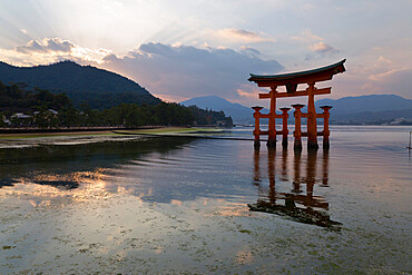 The floating Miyajima torii gate of Itsukushima Shrine at sunset, UNESCO World Heritage Site, Miyajima Island, Western Honshu, Japan, Asia