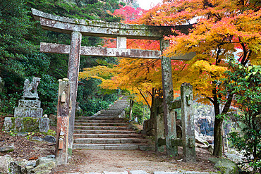 Torii gate and steps of Daisho-in temple in autumn, Miyajima Island, Western Honshu, Japan, Asia