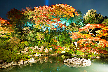 Night illuminations of temple gardens, Shoren-in temple, Southern Higashiyama, Kyoto, Japan, Asia