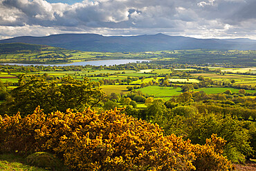 View over Llangorse Lake to Pen Y Fan from Mynydd Troed, Llangorse, Brecon Beacons National Park, Powys, Wales, United Kingdom, Europe