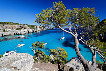 Yachts anchored in cove, Cala Macarella, near Cala Galdana, South West Coast, Menorca, Balearic Islands, Spain, Mediterranean, Europe