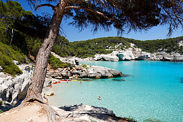 Cala Mitjana, near Cala Galdana, south west coast, Menorca, Balearic Islands, Spain, Mediterranean, Europe