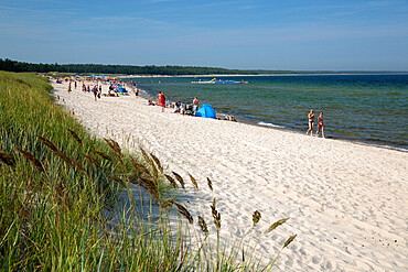 Lyckesand beach backed by sand dunes, Boda, Northern Oland, Oland, Baltic coast, Southeast Sweden, Sweden, Scandinavia, Europe